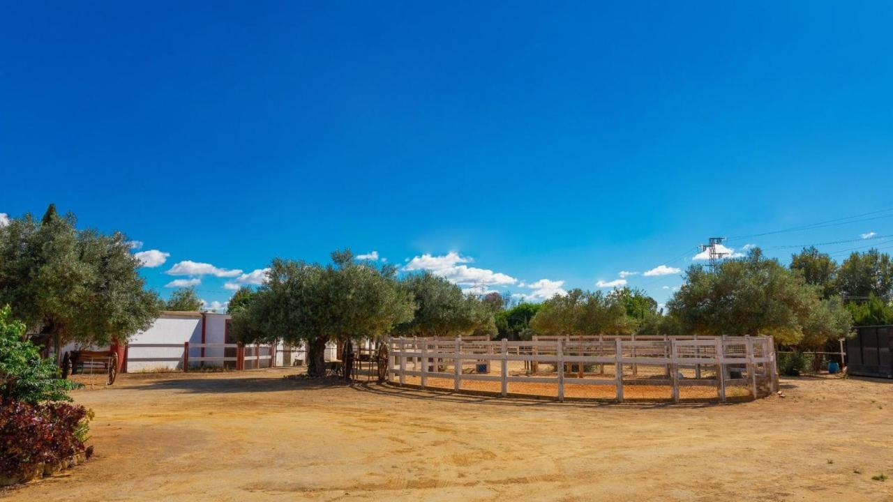 Finca La Canera Alcala De Guadaira By Ruralidays Eksteriør bilde